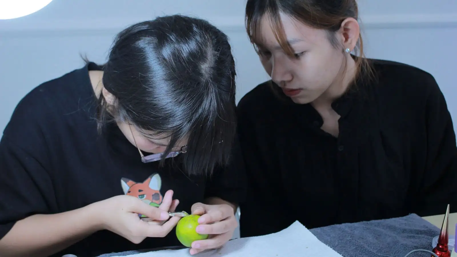 học nail cho người mới bắt đầu